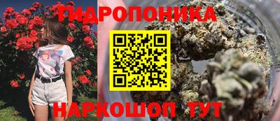таблы Будённовск