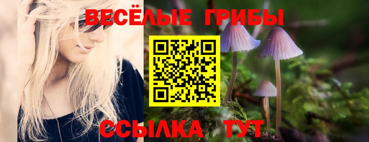 Псилоцибиновые грибы Psilocybe Семёнов