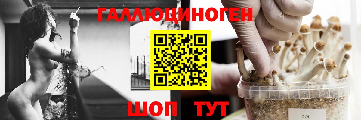 дарнет шоп  Галлюциногенные грибы ЛСД  Вход с VPN  Семёнов 